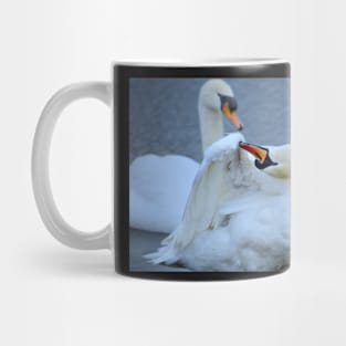 Swan Preening Mug